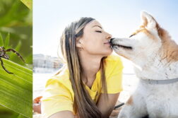 Links: Eine Zecke läuft auf einem Grashalm. Rechts: Eine Frau mit Hund