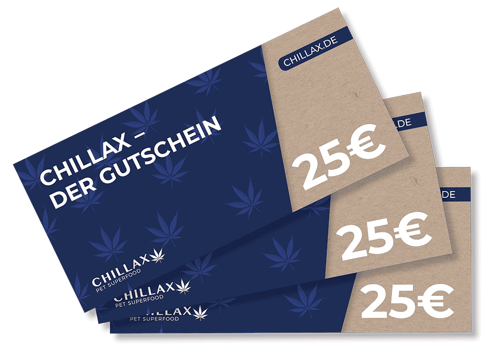 Chillax Ostergewinn