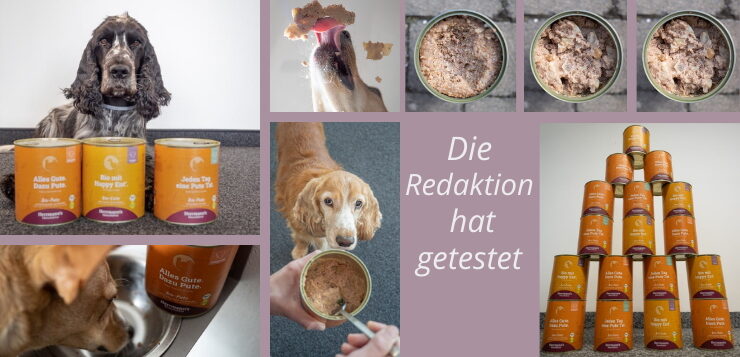 Angetestet: Bayerisches Biofutter besticht Barferhund
