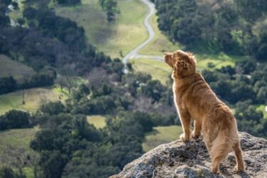 Foto: Kevin Noble, Unsplash