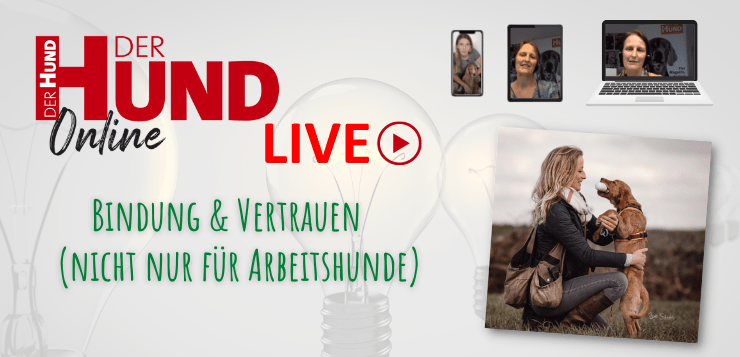 Sei dabei! 19. Mai: Abend-Webinar mit Kristina Räder