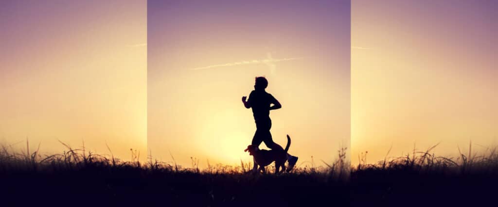 Silhouette eines Joggers mit Hund auf einer Wiese bei Sonnenuntergang, violette und orangefarbene Himmelstöne malen ein ruhiges Szenario.