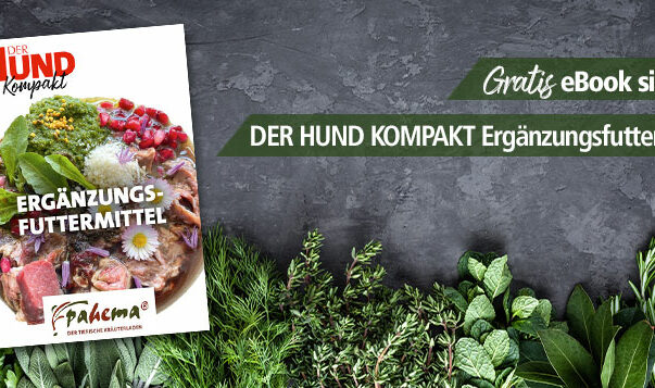 Ergänzungsfuttermittel – und was du dazu wissen solltest: jetzt gratis eBook herunterladen! Gratis eBook: DER HUND KOMPAKT Ergänzungsfuttermittel