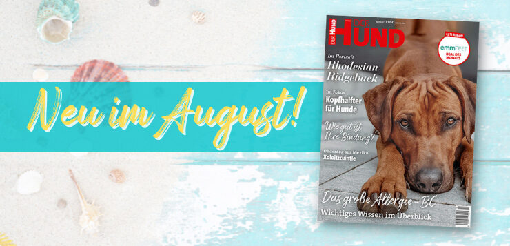 Unsere Ausgabe im August