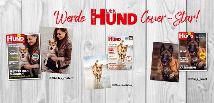 Cover_Contest_740x357