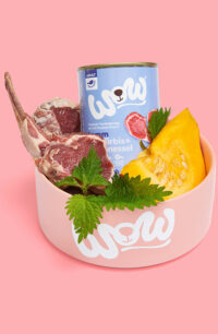 WOW_Napf