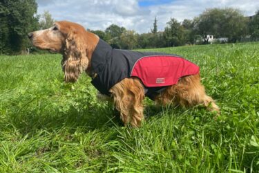 Jacke-von-links