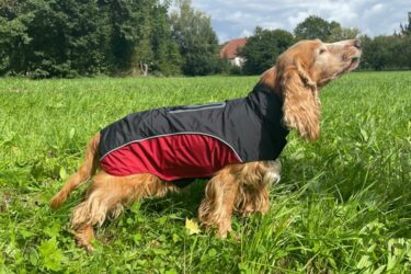 Jacke-von-rechts