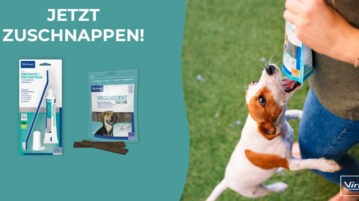 Teste mit uns Zahnpflegeprodukte für Hunde von Virbac!