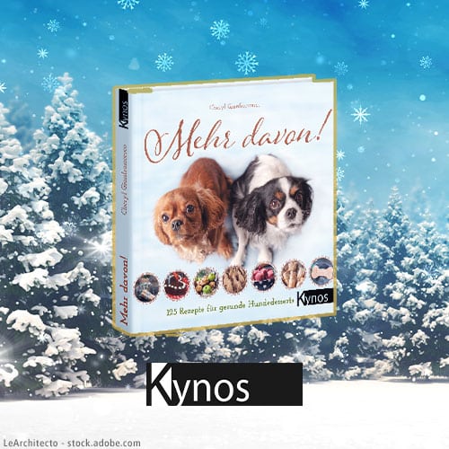 DH Adventskalender Kynos