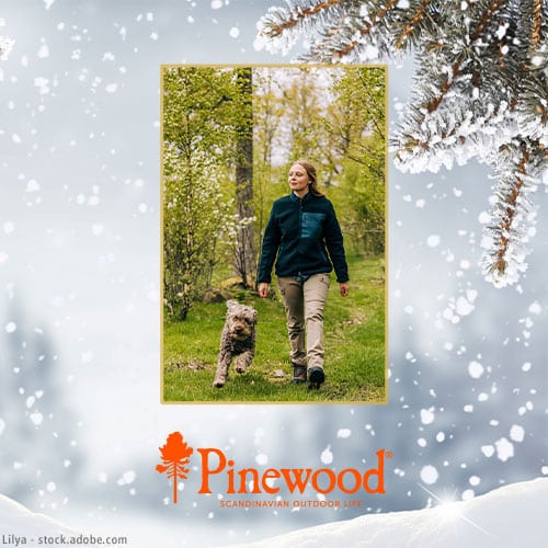 DH Adventskalender Pinewood