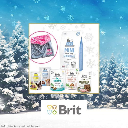 DH Adventskalender Brit