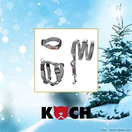 DH Adventskalender KOCH