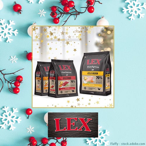 DH Adventskalender LEX