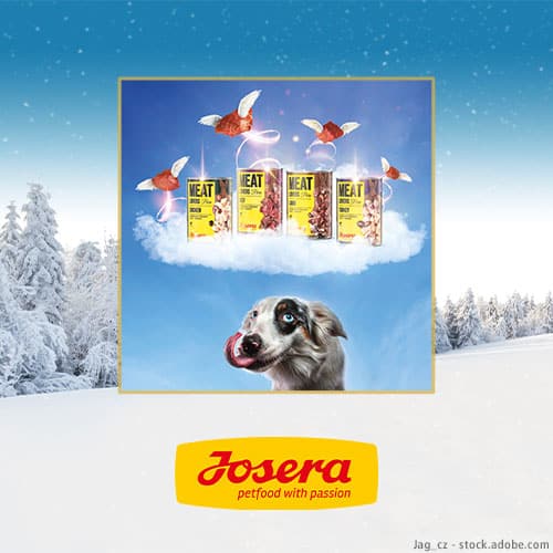 DH Adventskalender Josera