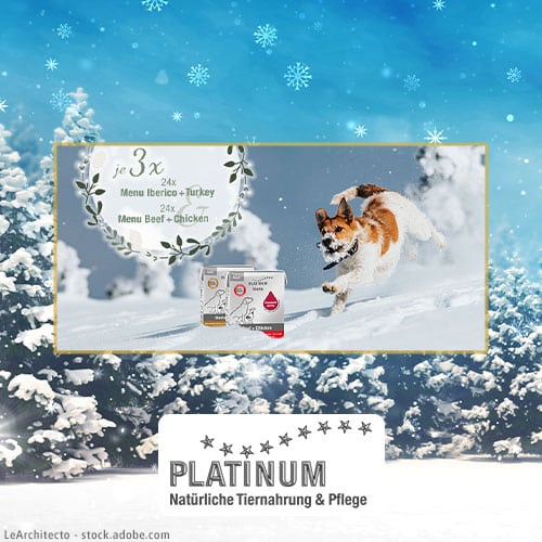 DH Adventskalender Platinum