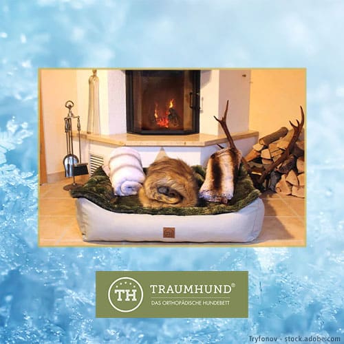 DH Adventskalender Bettenhaus Traumhund