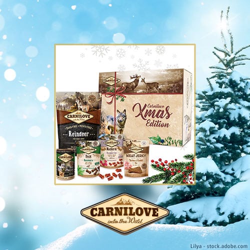 DH Adventskalender Carnilove