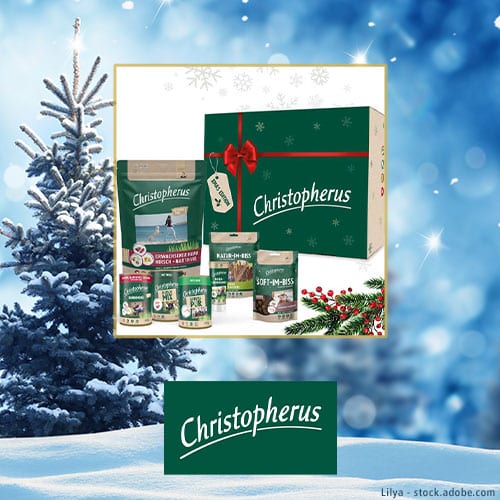 DH Adventskalender 2022 Christopherus