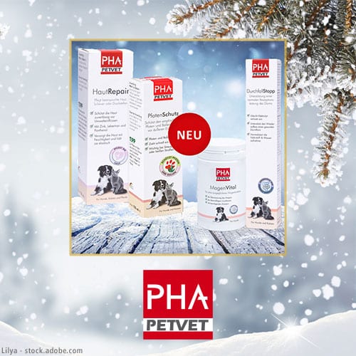 DH Adventskalender PetVet