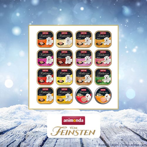 DH Adventskalender animonda