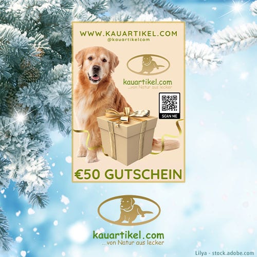DH Adventskalender kauartikel.com