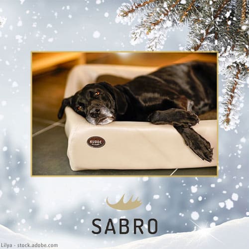DH Adventskalender Sabro
