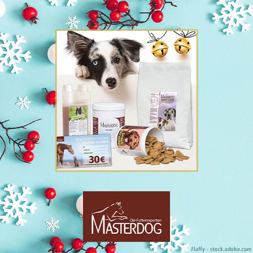 DH Adventskalender Masterdog