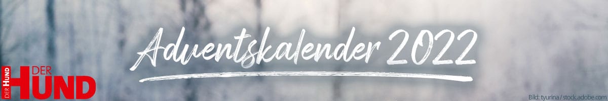 Adventskalender 2022