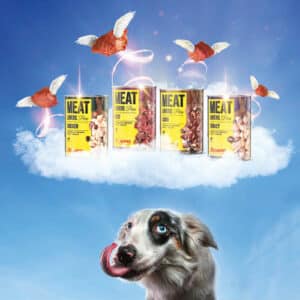 Josera_3_Meatlovers_Adventskalender_DERHUND_600x600