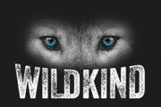 WILDKIND_Logo_neu_Der-Hund-Adventskalender-2022