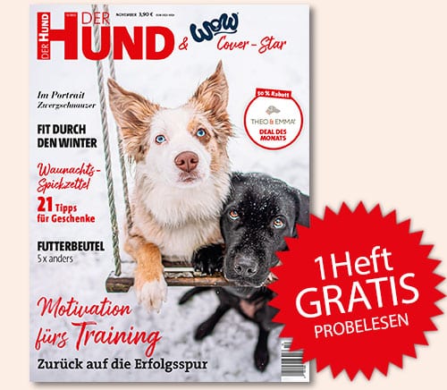 1_Heft_gratis_Button_nov22 DH 1 Heft gratis Probelesen
