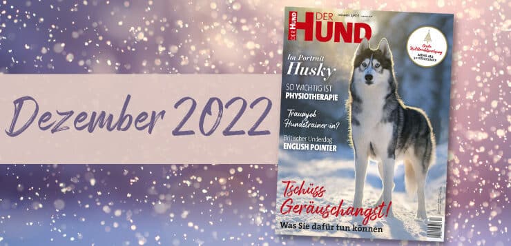 Unsere Ausgabe im Dezember 2022
