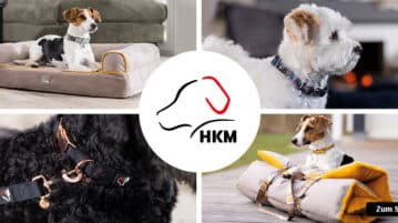 Die erste eigenständige Hundekollektion von HKM