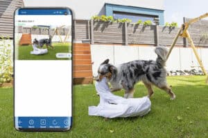 Online-Advertorial Abus Hund mit Laken