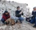Tierschützer in Syrien helfen verletzten und heimatlosen Tieren.