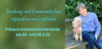 Lerne von und mit Ádám Miklósi über Hundeverhalten!