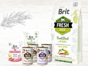 Frühlingsverlosung 2023: Brit