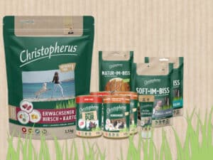 Frühlingsverlosung 2023: Christopherus