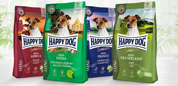 Frühlingsverlosung 2023: Happy Dog