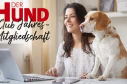 Osterschnüffeln 2023: DER HUND Club