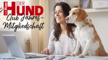 Osterschnüffeln 2023: DER HUND Club