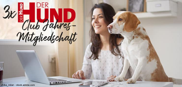 Osterschnüffeln 2023: DER HUND Club