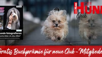 Werde neues Clubmitglied und sichere dir unsere gratis Buchprämie!