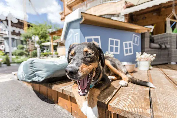 Alpenhotel Tyrol