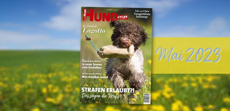 Unsere Ausgabe im Mai ’23