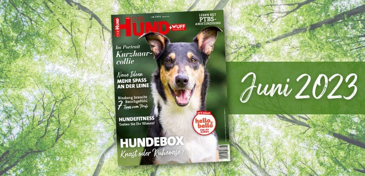 Unsere Ausgabe im Juni ’23