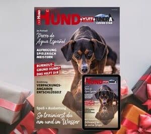 Geschenk-Abo: 12 Monate verschenken