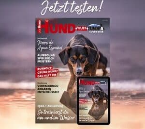 Schnupper-Abo: 3 Hefte lesen