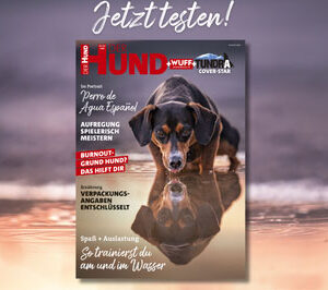 Schnupper-Abo: 3 Hefte lesen (Print & ePaper)